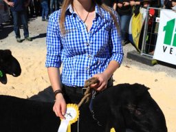 2019_ausstellung polling_398